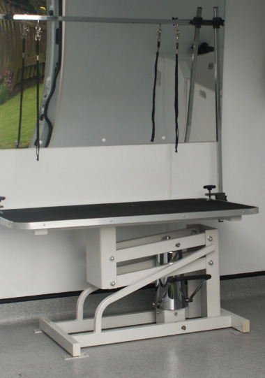 adjustable grooming table with mirror